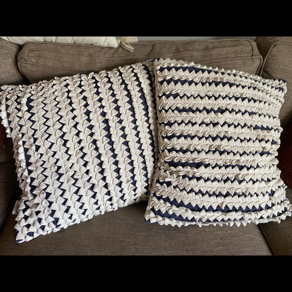 Set of 2 20x20 designer pillow cases